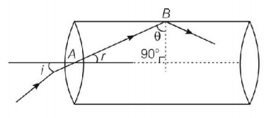 Ray Optics mcq solution image