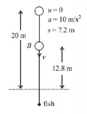 Ray Optics mcq solution image