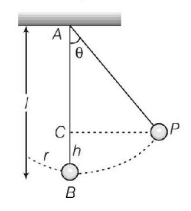 Simple Harmonic Motion (SHM) mcq solution image