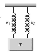 Simple Harmonic Motion (SHM) mcq question image Simple Harmonic Motion (SHM) mcq question image