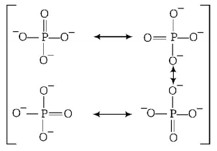 Chemical Bonding and Molecular Structure mcq solution image Chemical Bonding and Molecular Structure mcq solution image