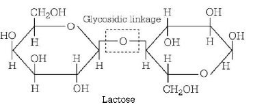Biomolecules mcq solution image Biomolecules mcq solution image