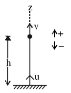 Kinematics mcq solution image Kinematics mcq solution image
