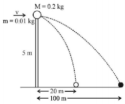 Momentum mcq solution image Momentum mcq solution image