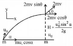 Momentum mcq solution image Momentum mcq solution image