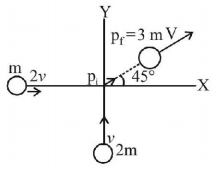 Momentum mcq solution image Momentum mcq solution image