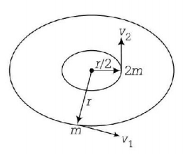 Kinematics mcq solution image Kinematics mcq solution image