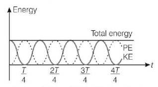 Simple Harmonic Motion (SHM) mcq solution image Simple Harmonic Motion (SHM) mcq solution image