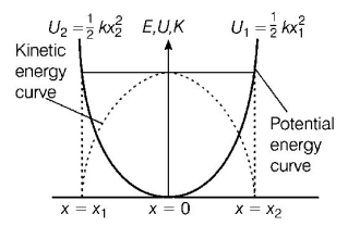 Simple Harmonic Motion (SHM) mcq solution image Simple Harmonic Motion (SHM) mcq solution image